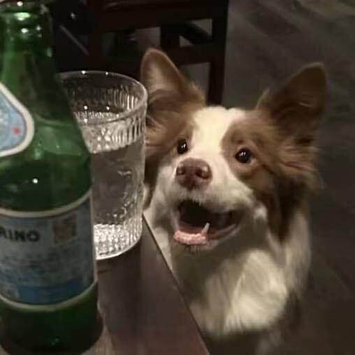 等风迎接我（三角洲行动）