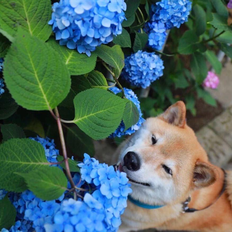 阿远、