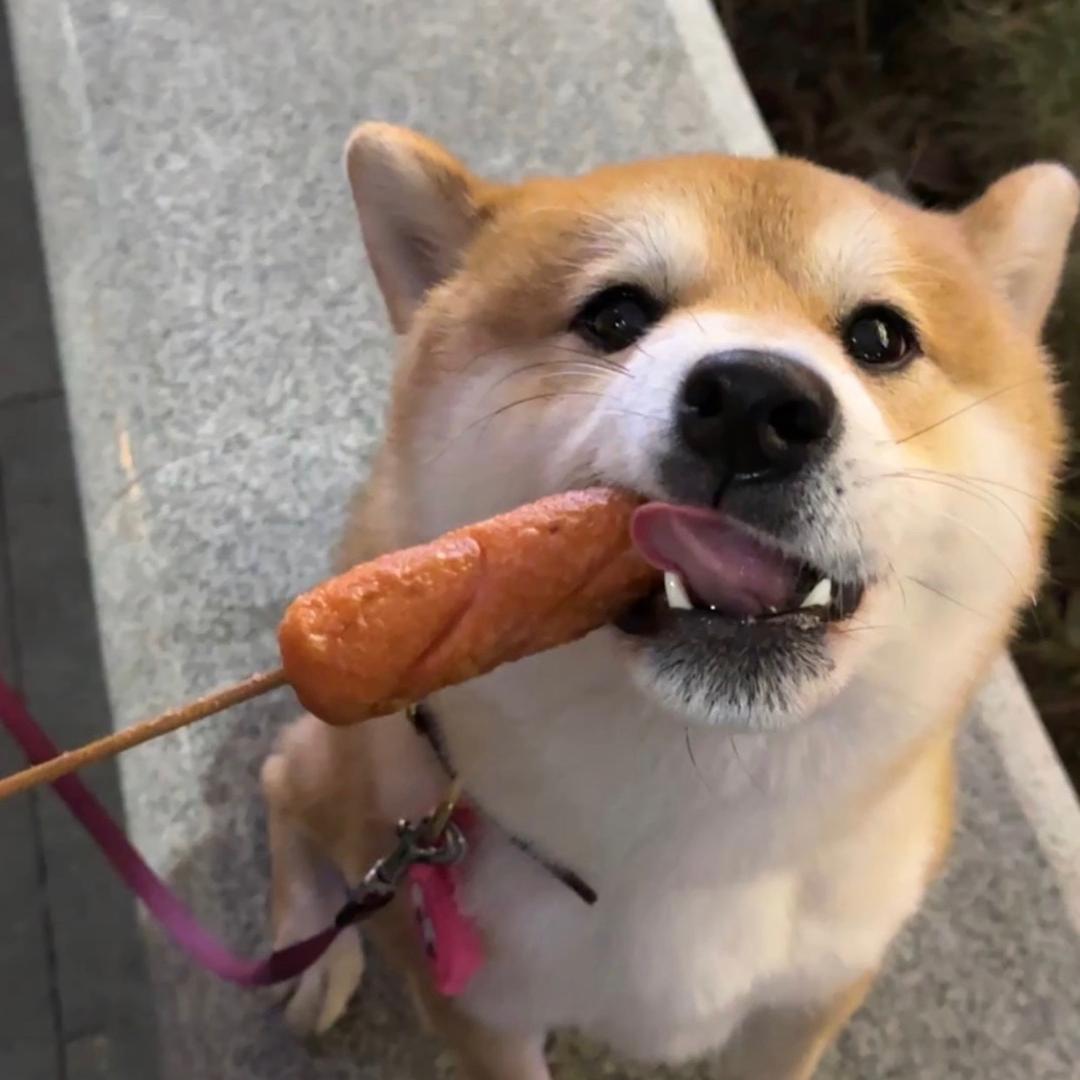 你有点绊脚