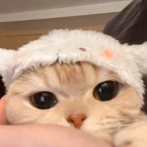 巧克力味的太妃糖