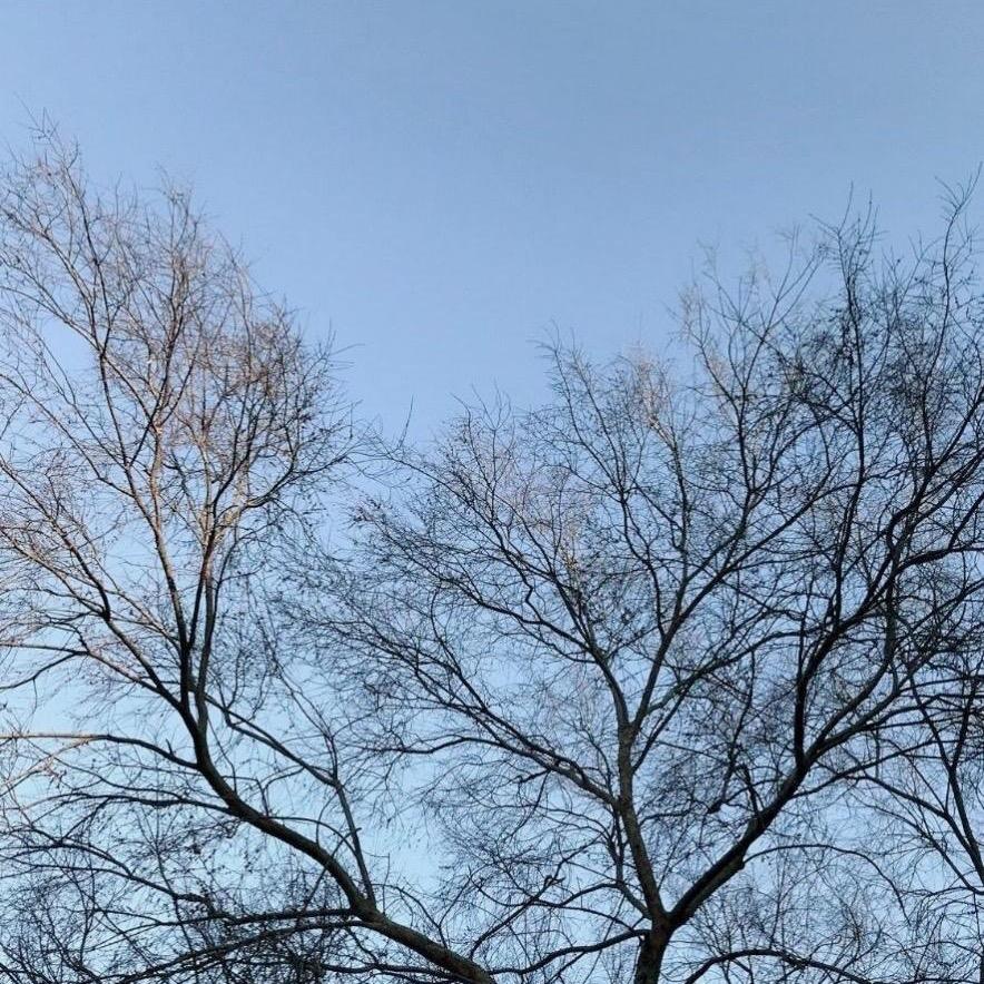 秋水伊人🍎🍎