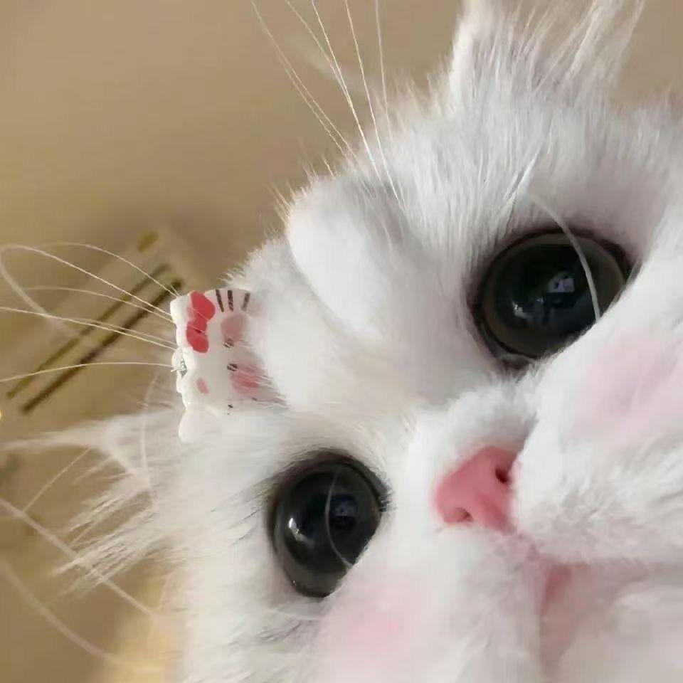 隔壁小明
