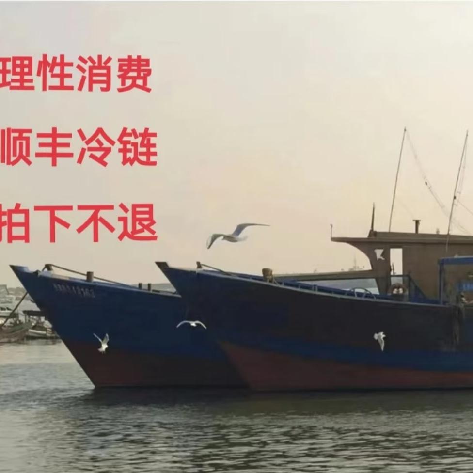 神泉南北
