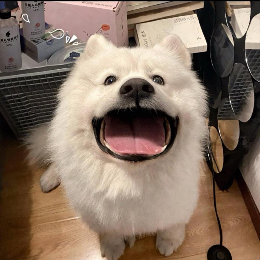 徐一成
