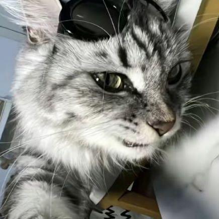 小怒