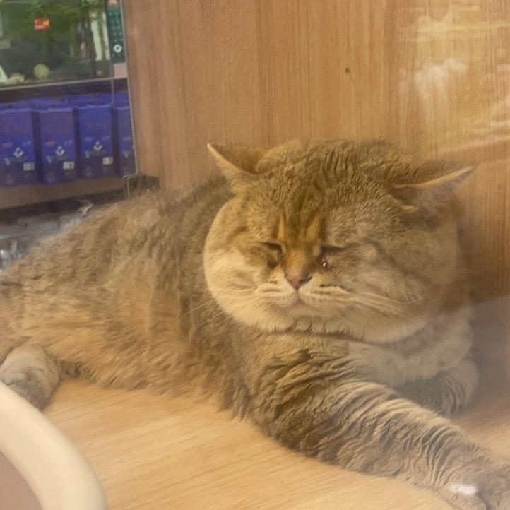 贝贝大宝贝