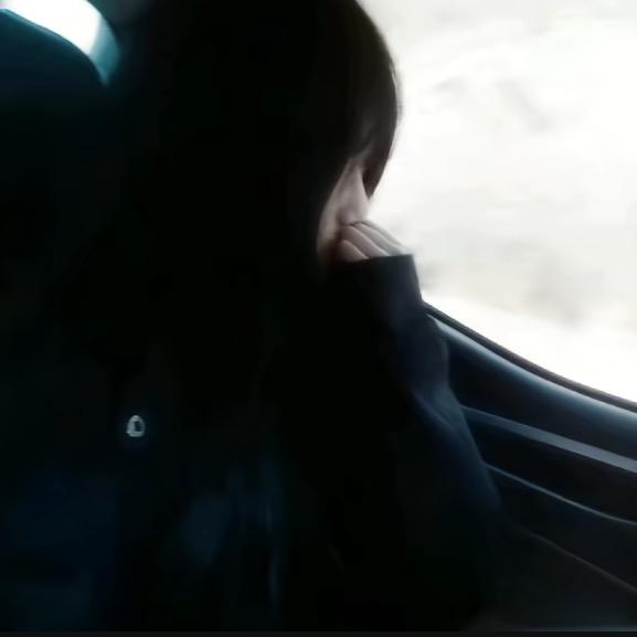 知鹤