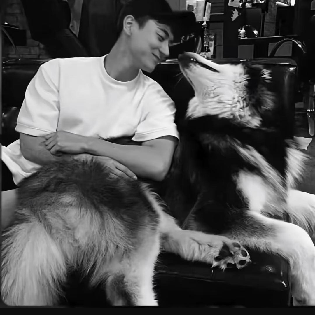 “陈叔叔的薯”