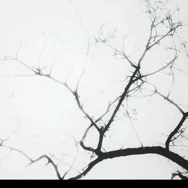 ￴ ￴ ￴￴ ￴ ￴