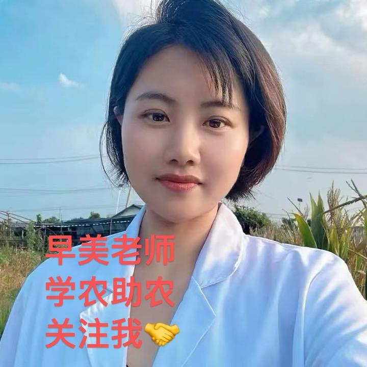 植保课堂（早美老师）