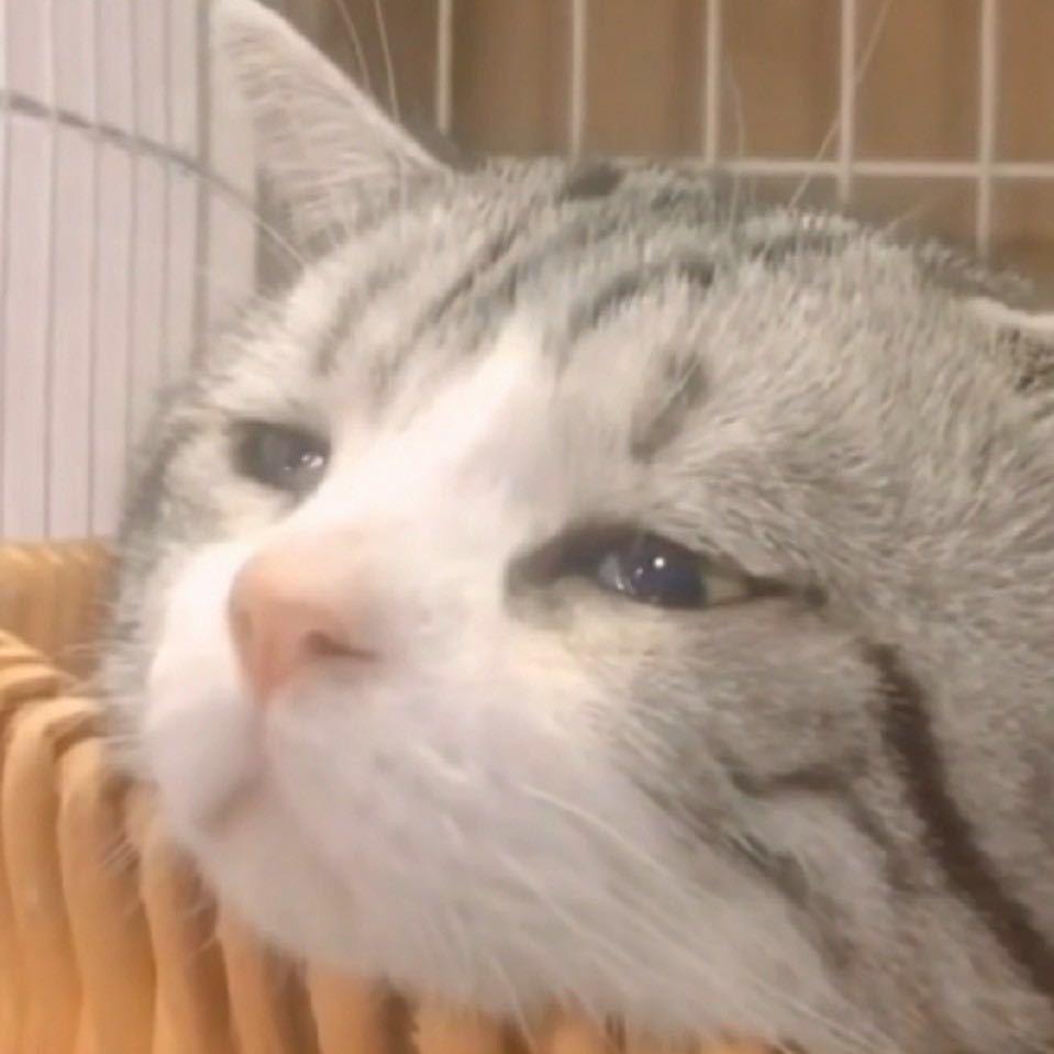 若末（守望先锋版）