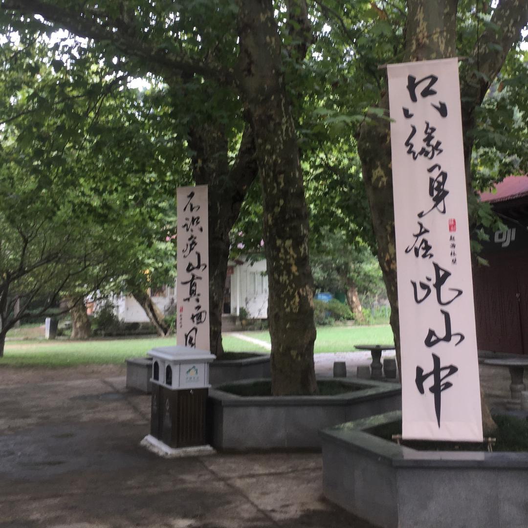 风不着