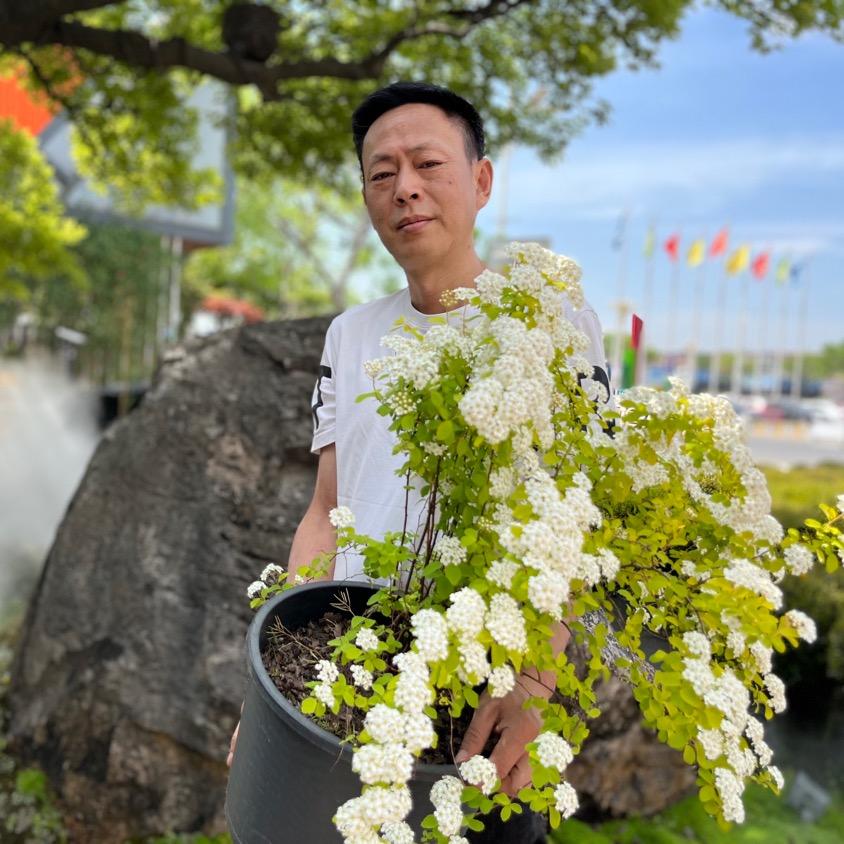 花二爷园艺