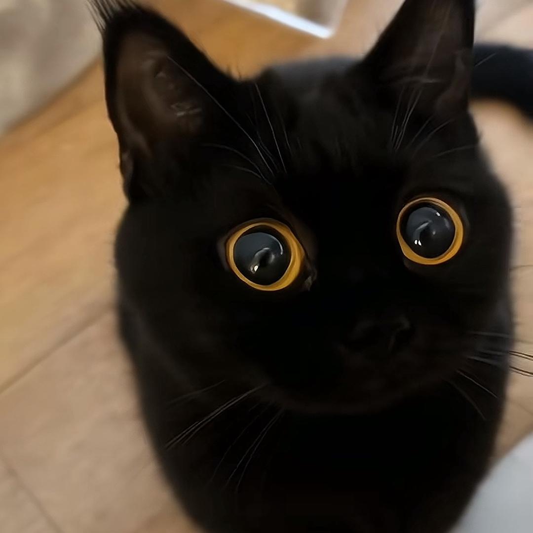 一觉睡到自然死