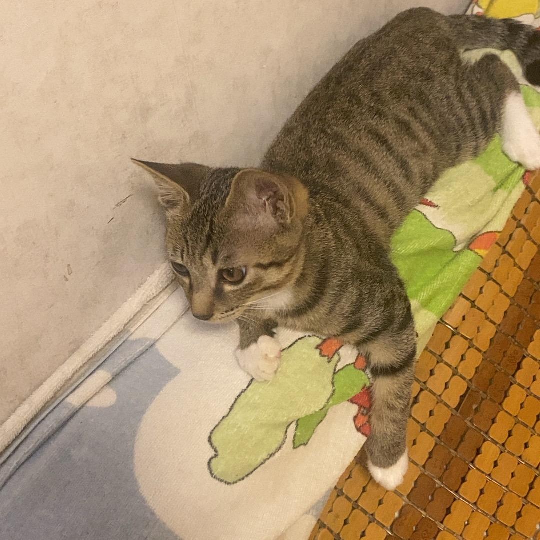 好好爱自己