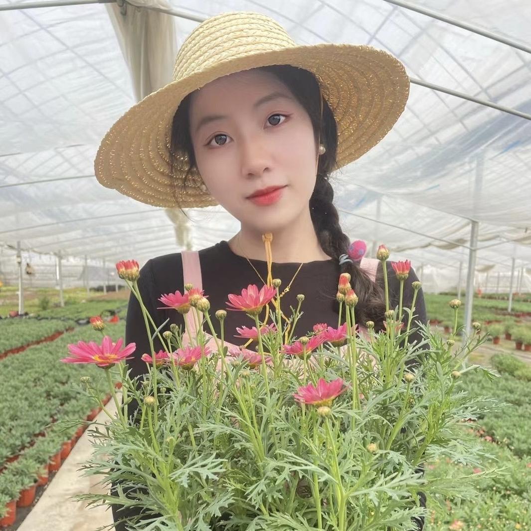 花花与你