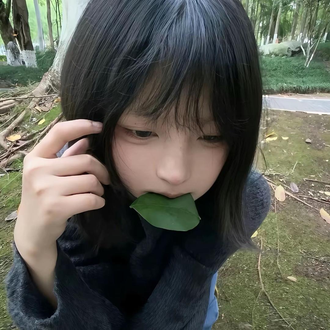 小菜狗