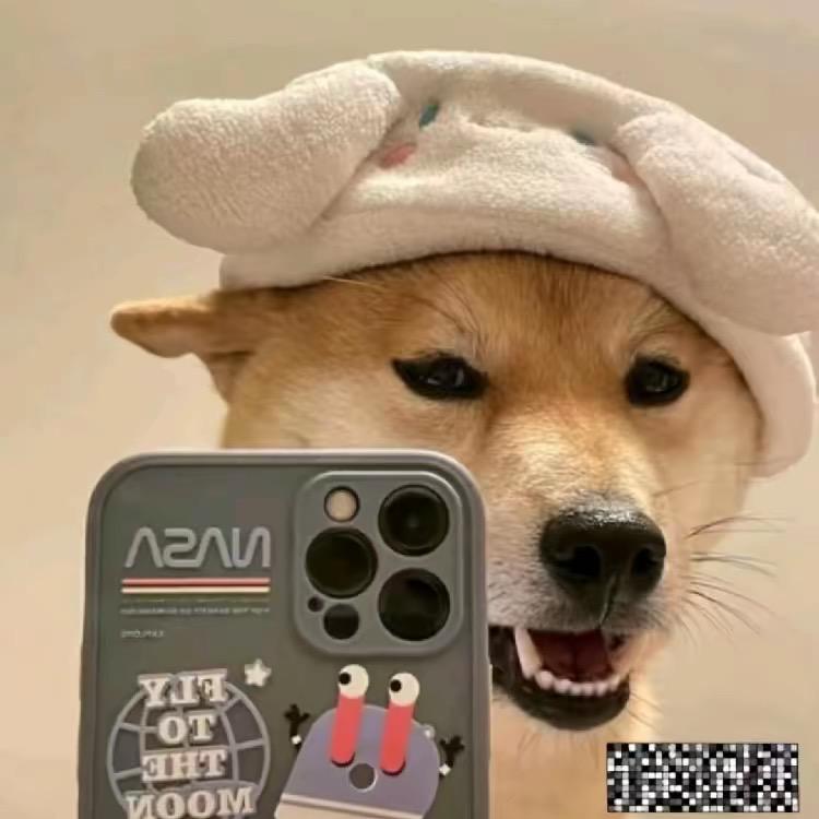 赛跑的鱼