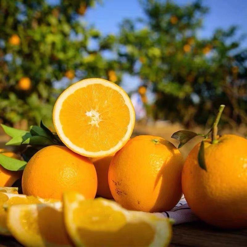 甄选好物推荐888