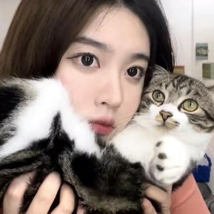 美狄羊羊
