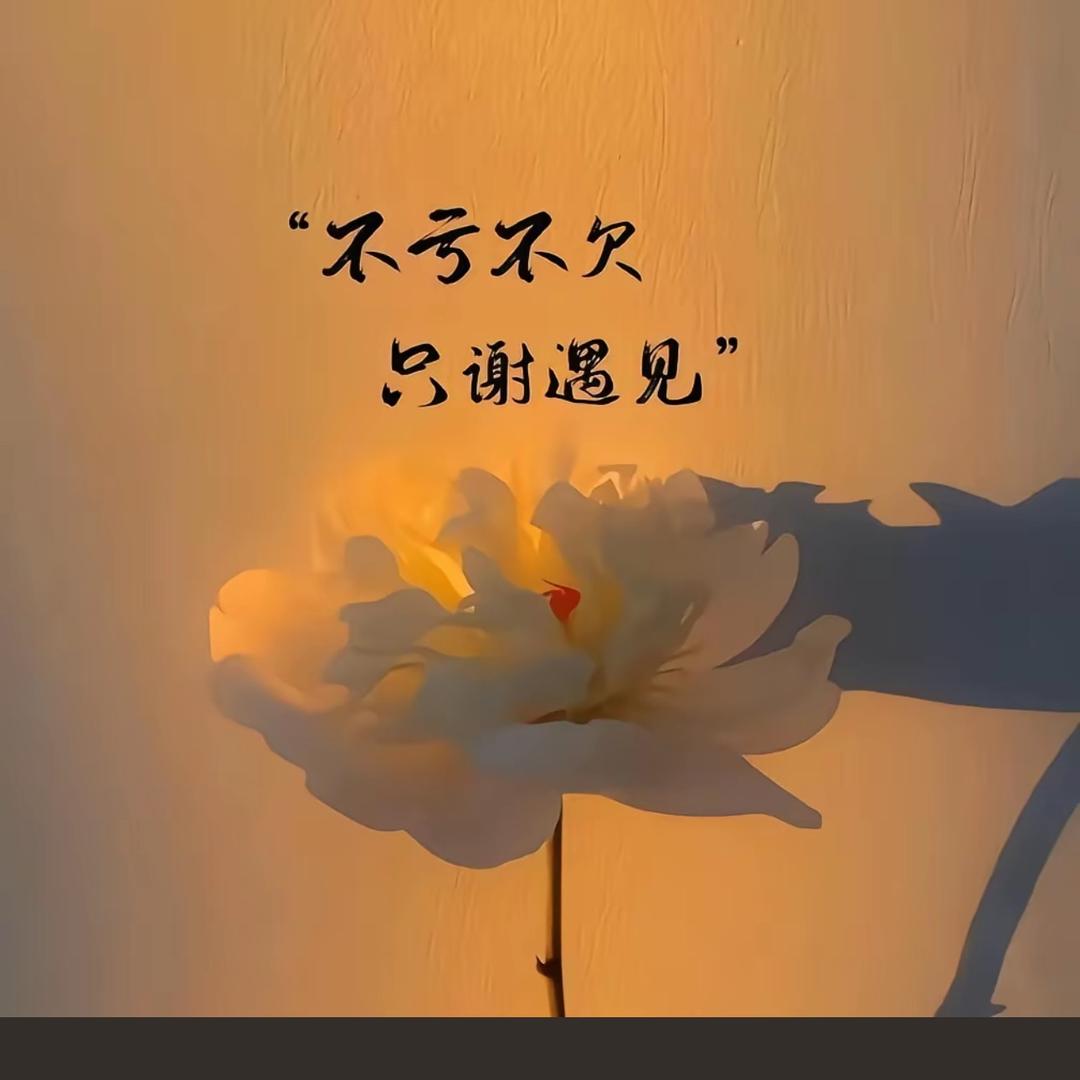 啤酒加咖啡