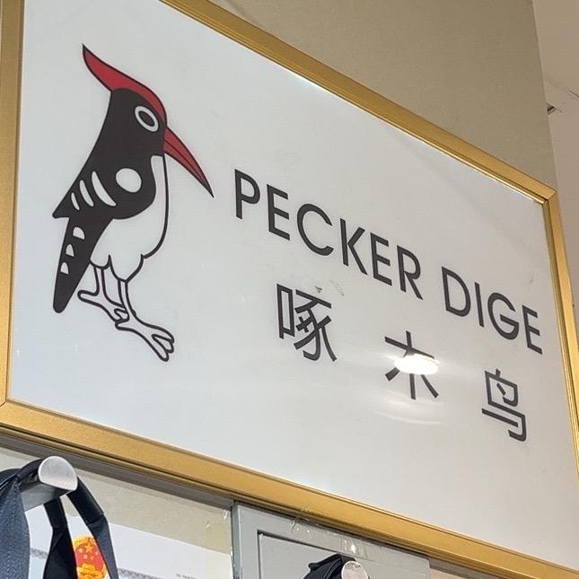华裔啄木鸟
