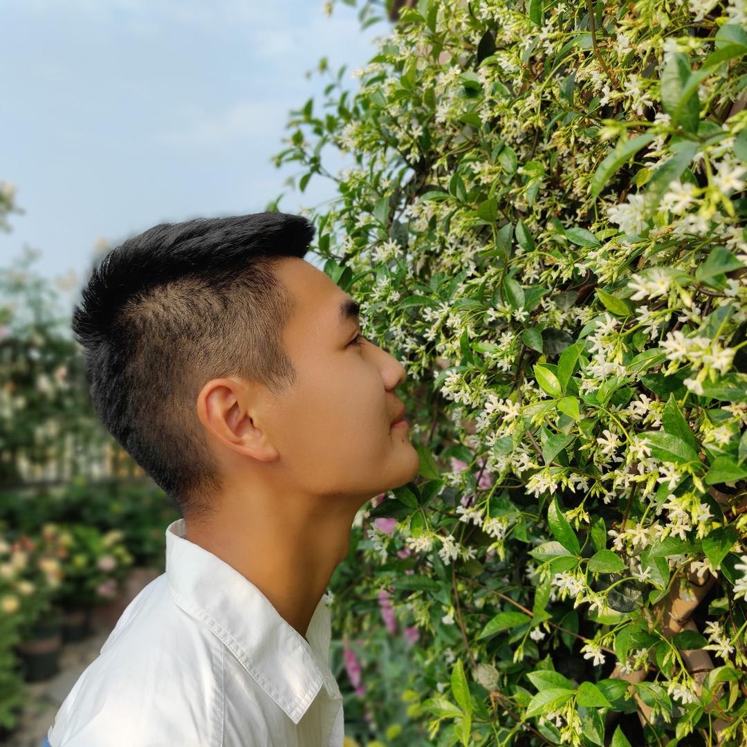 雲灿的花园