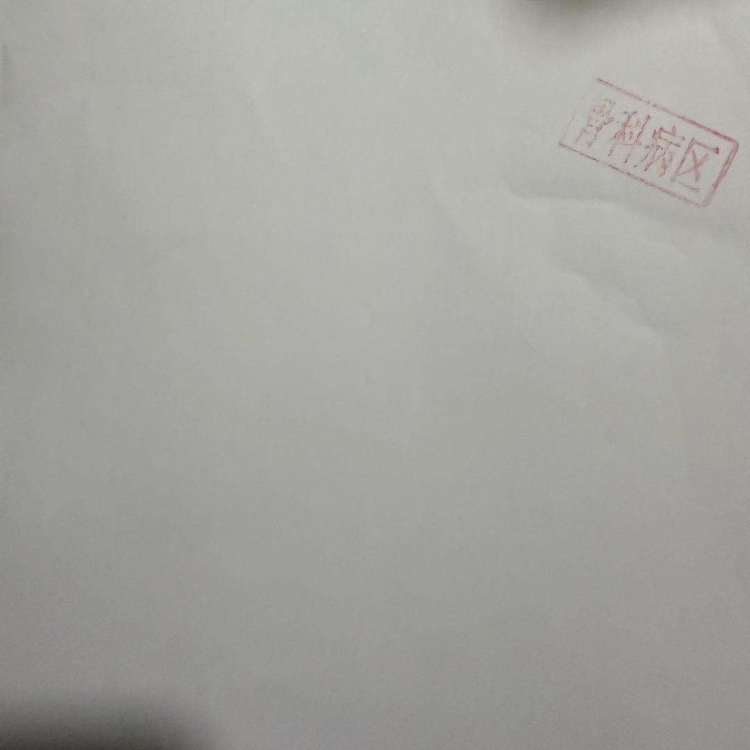 小猪迪