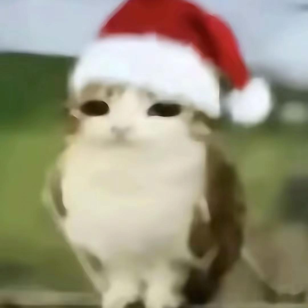 零零碎碎