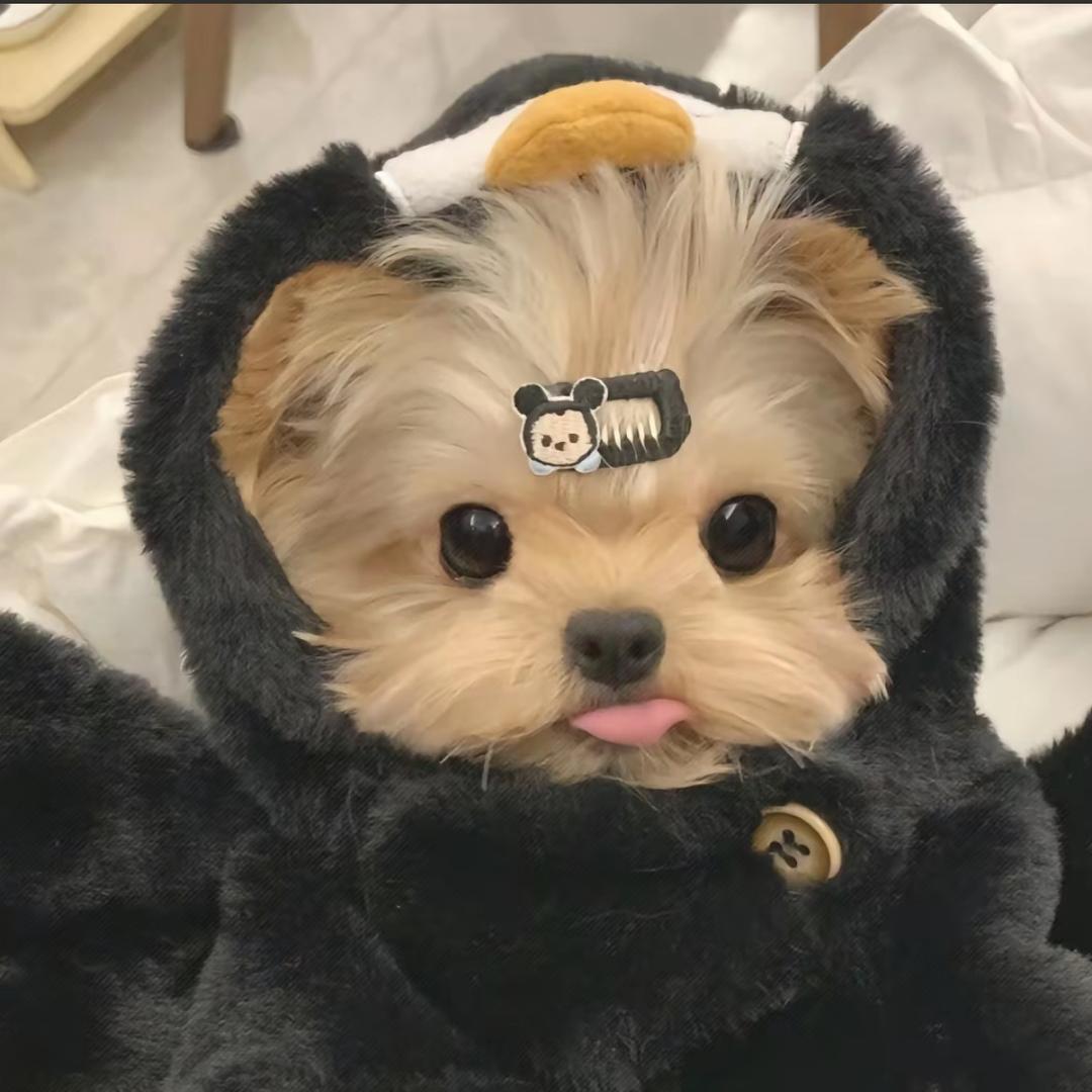 古德拜拜
