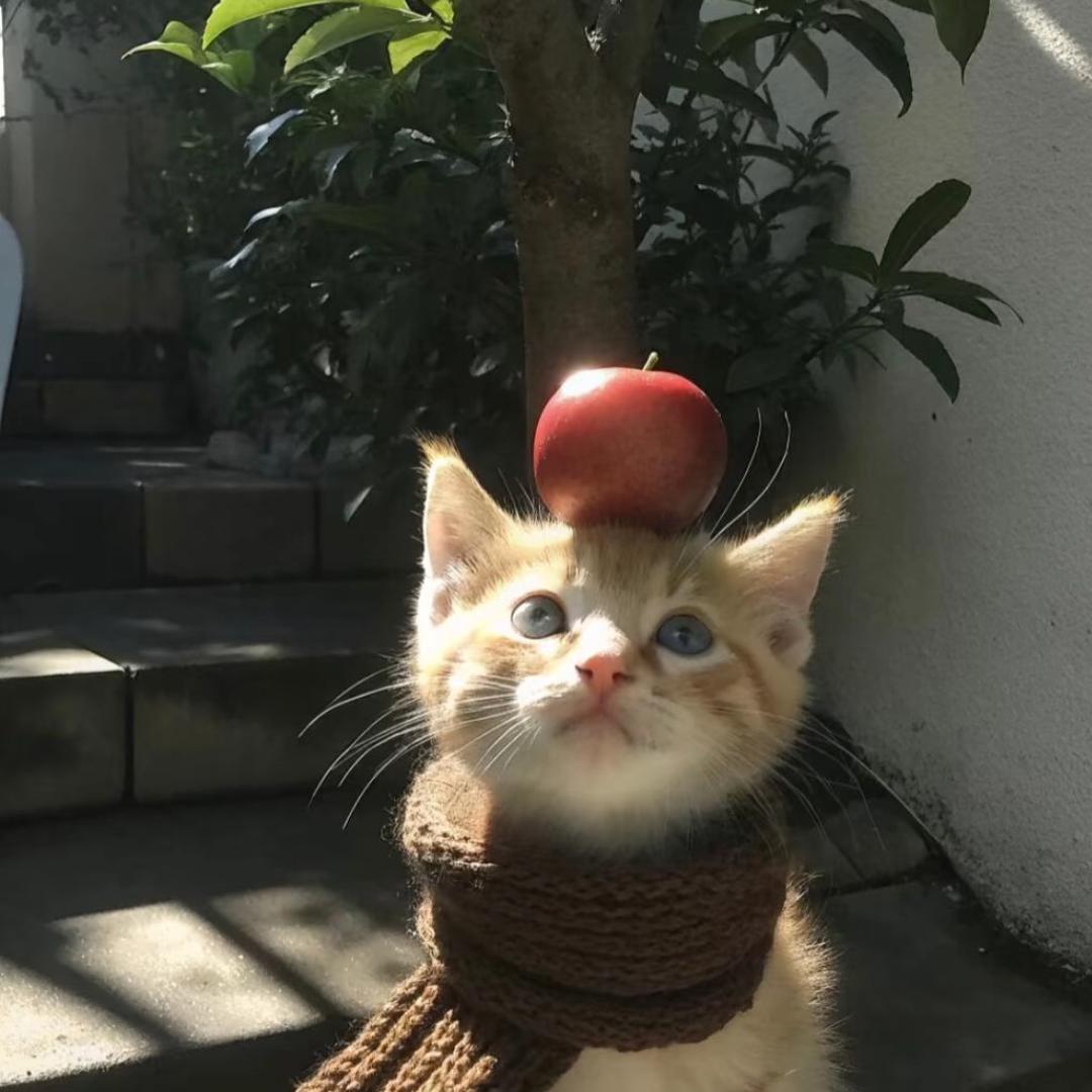 明天见.