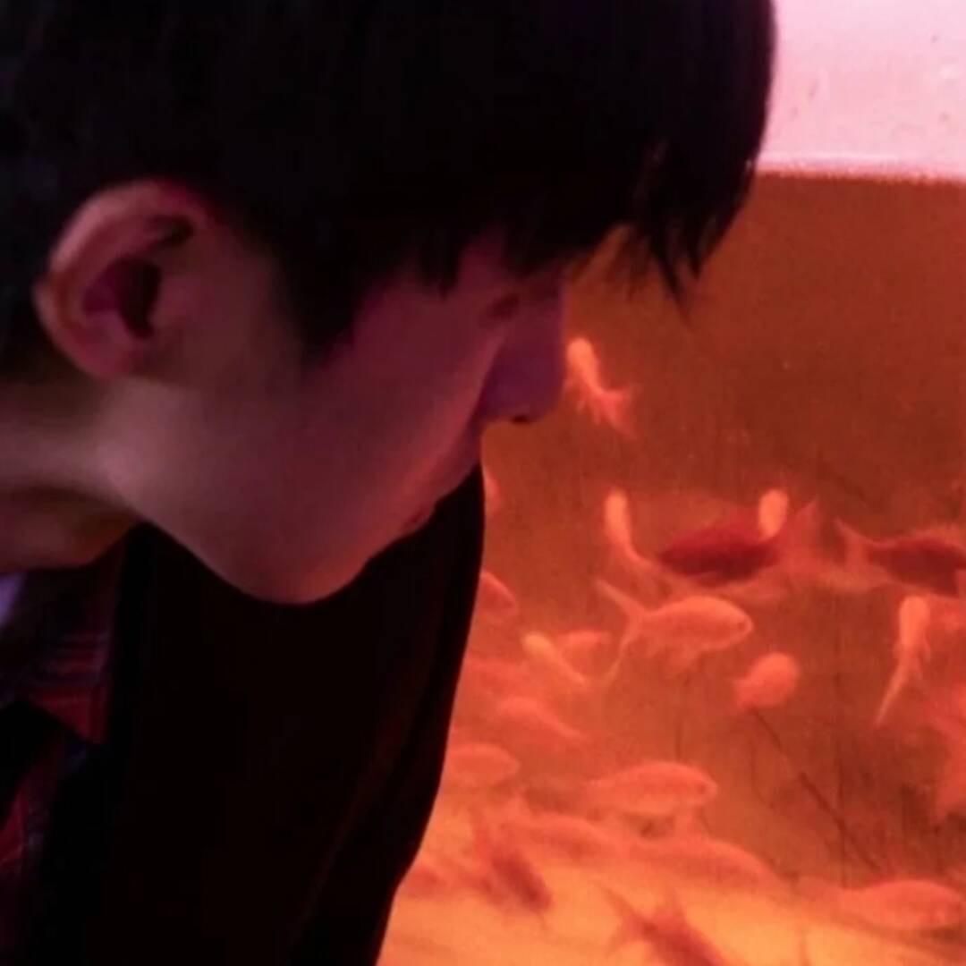 蹦壹科技