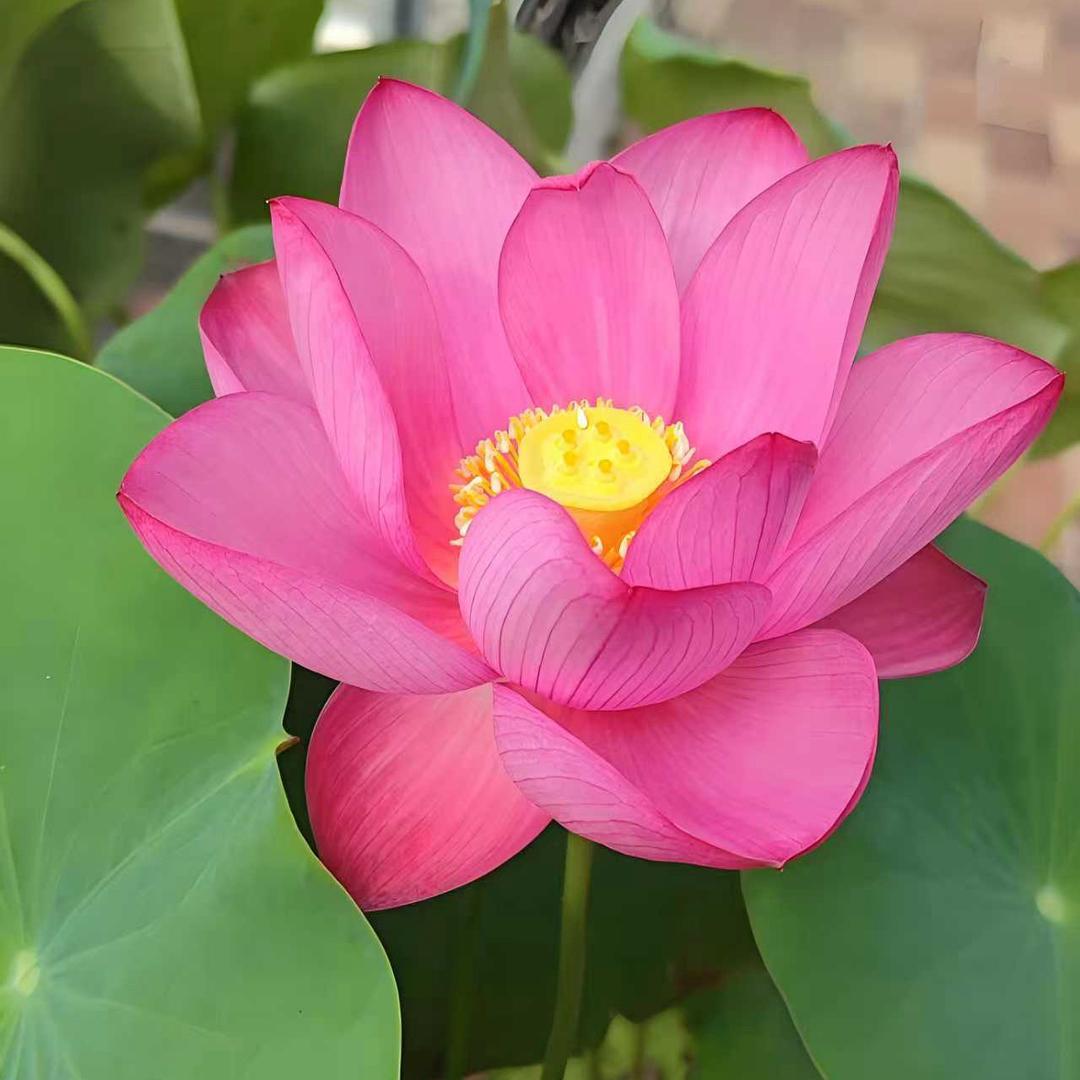 晓畅爱运动