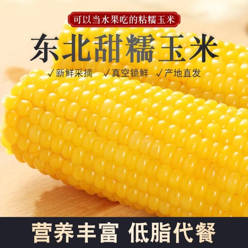 东北杂粮专业合作社