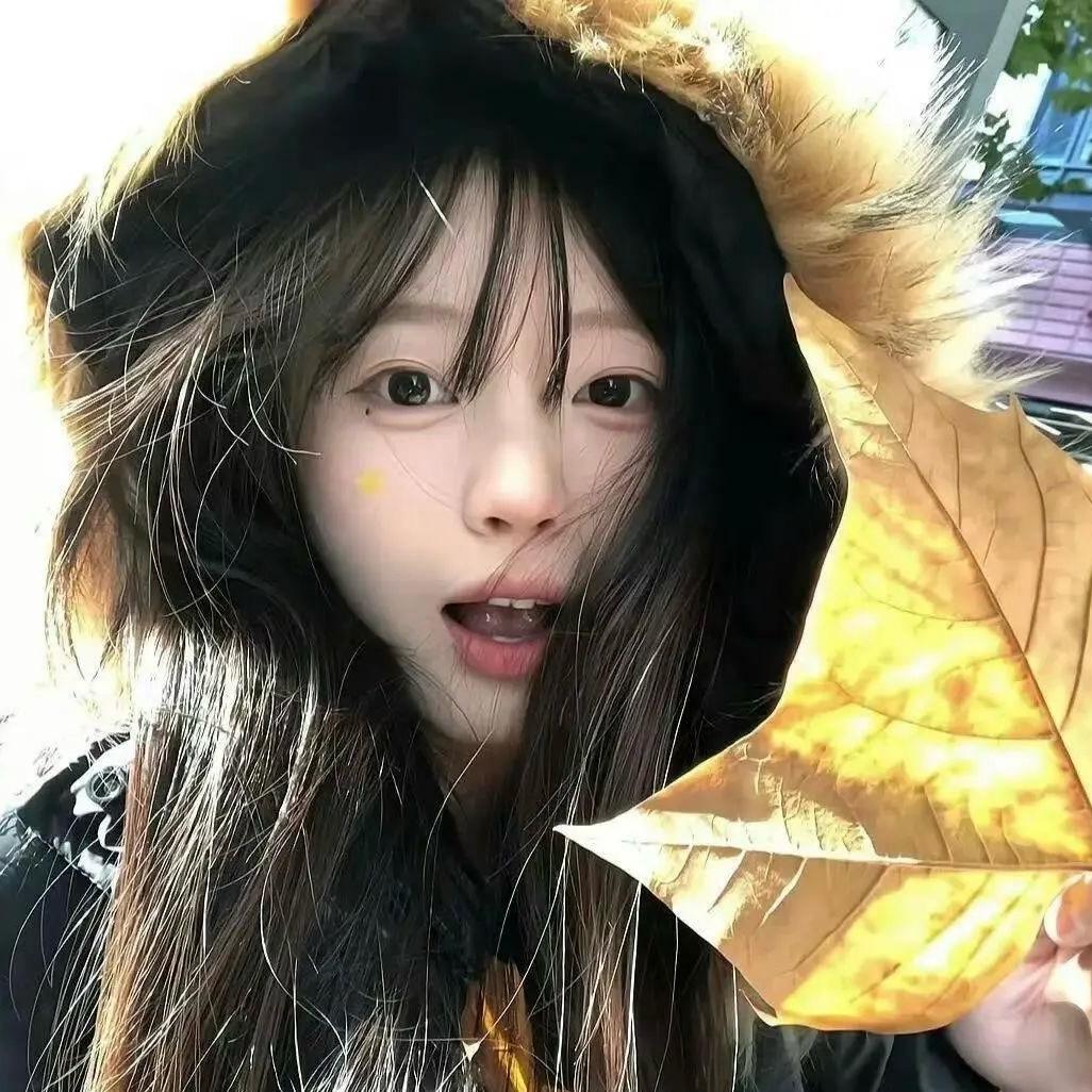 零碎小土豆(ಡωಡ)