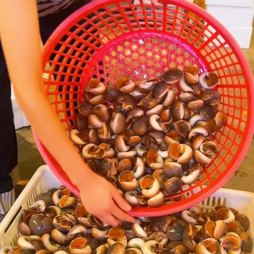 文文海鲜生鲜文文生鲜