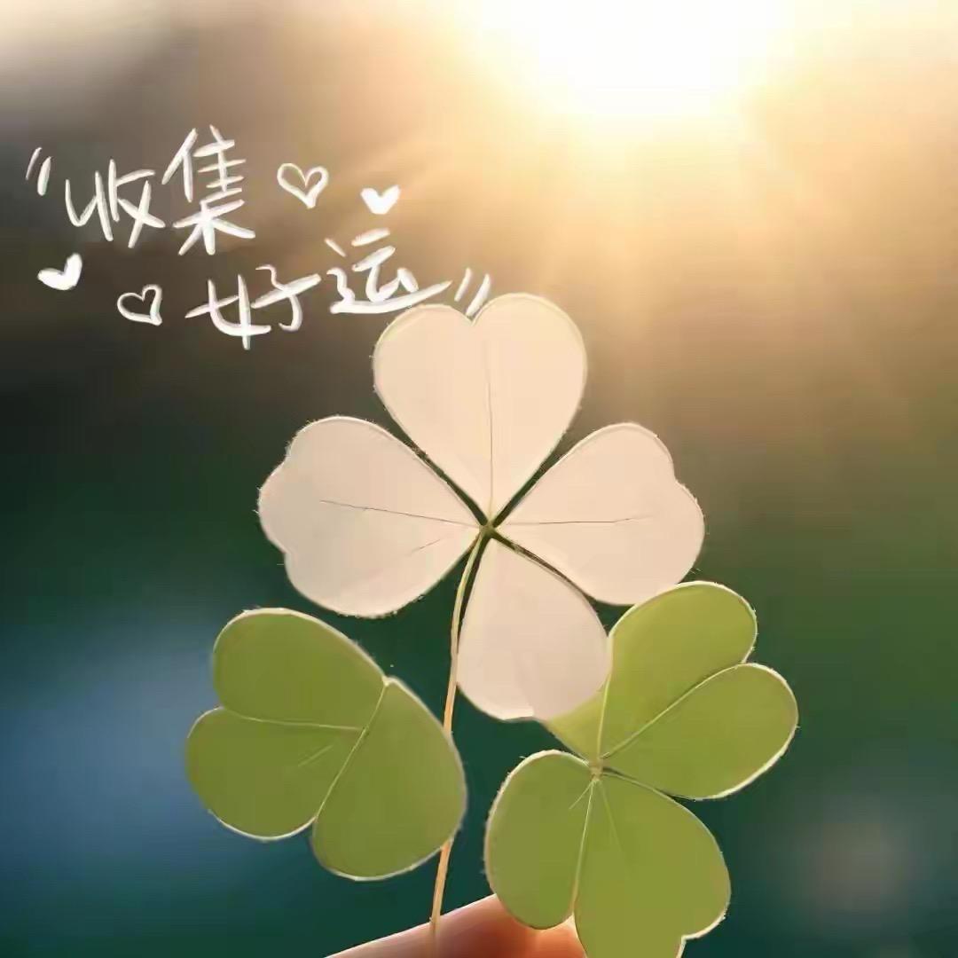 🍀欢宝儿🍀