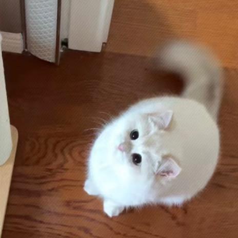 肚一烦