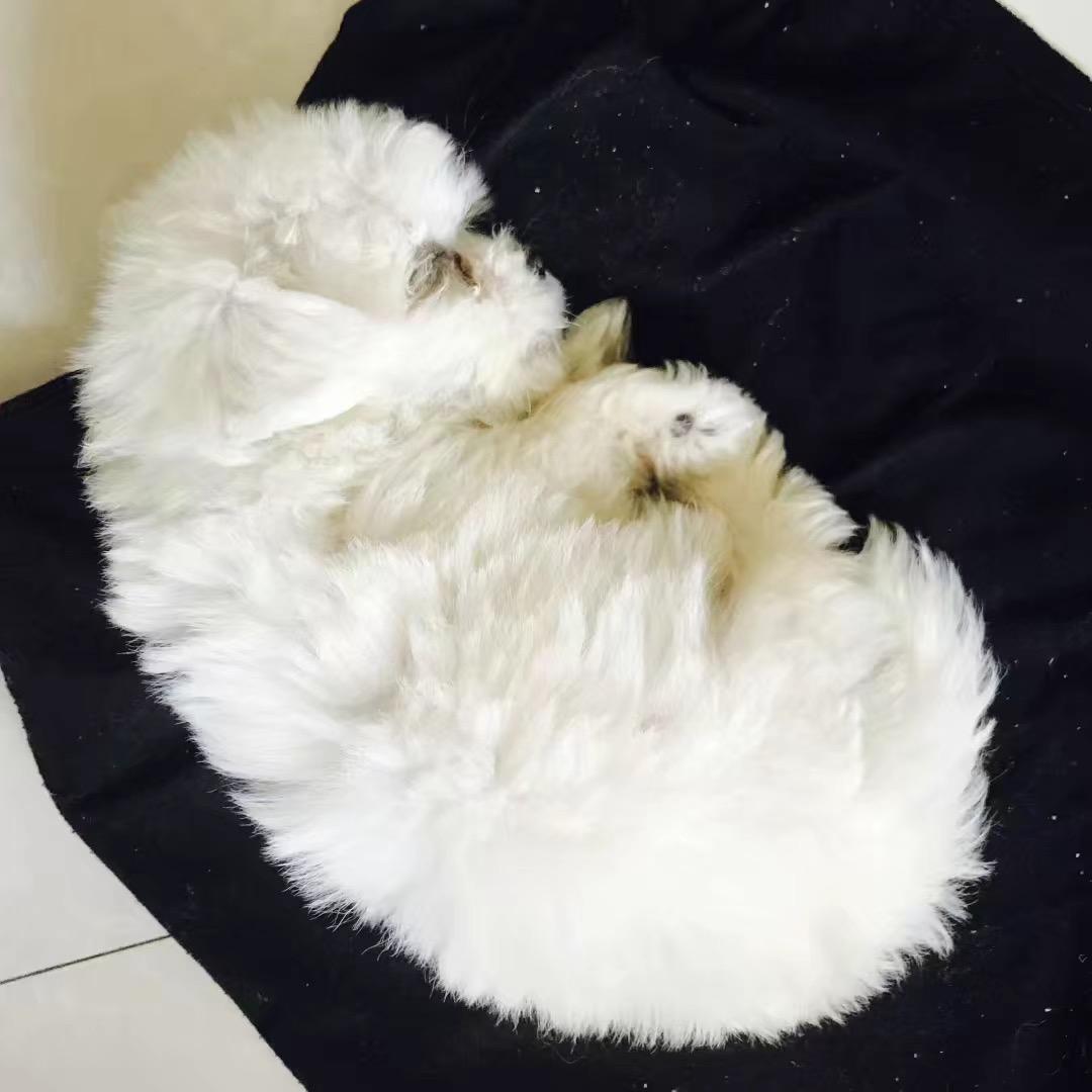 一个小一