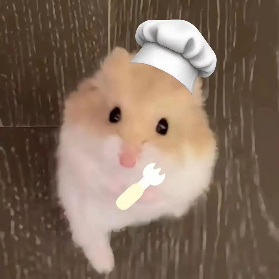 知芫