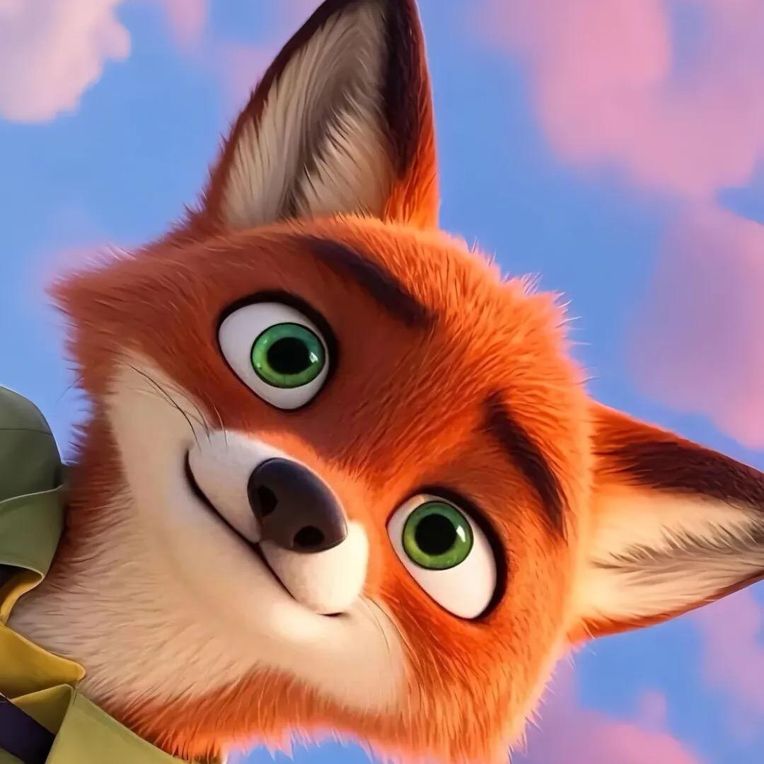 看日落，等风来。