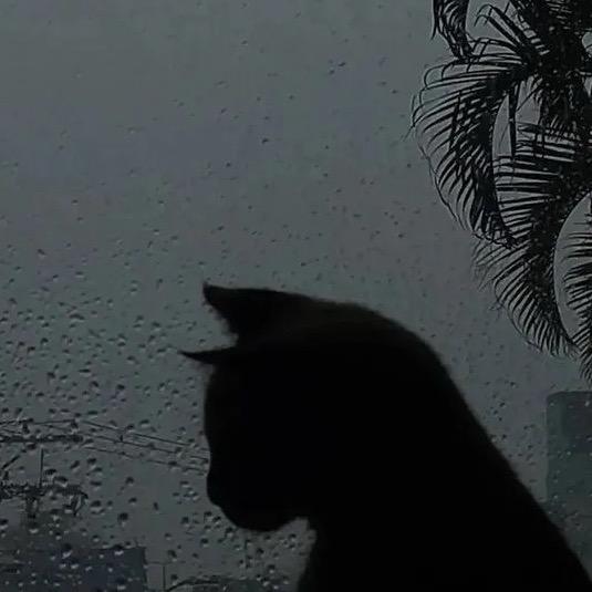 颖🦋