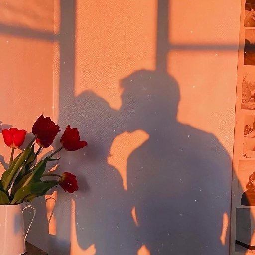 沈阳西瓜（努力版）