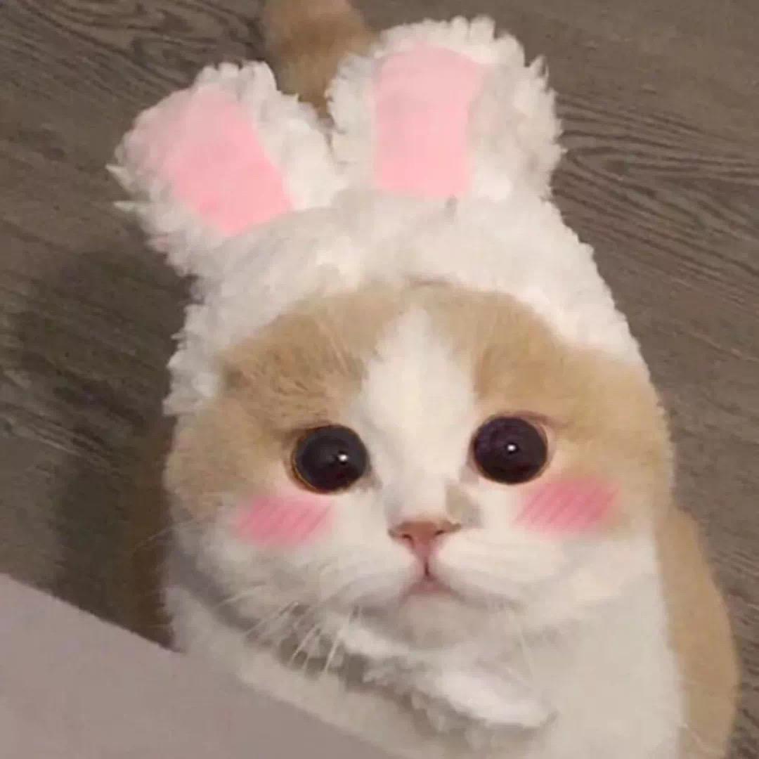 张张包