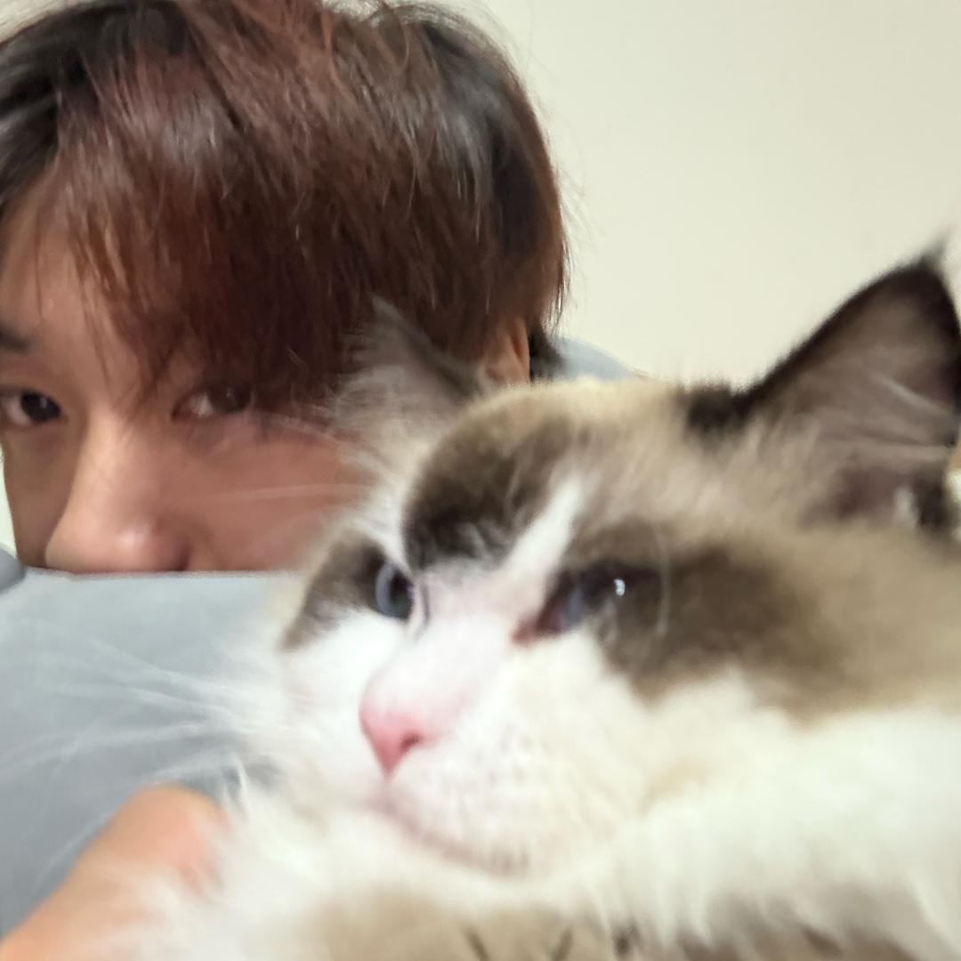 奇