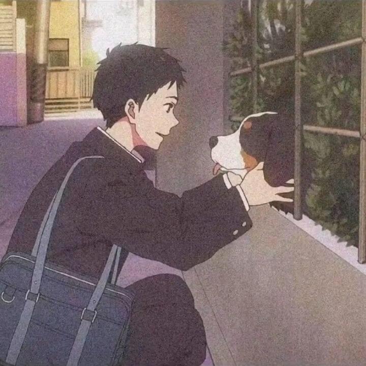 暴躁的宇先生