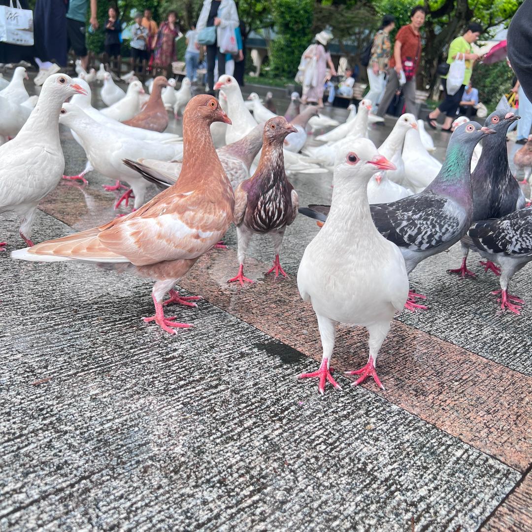 封我就是我儿子