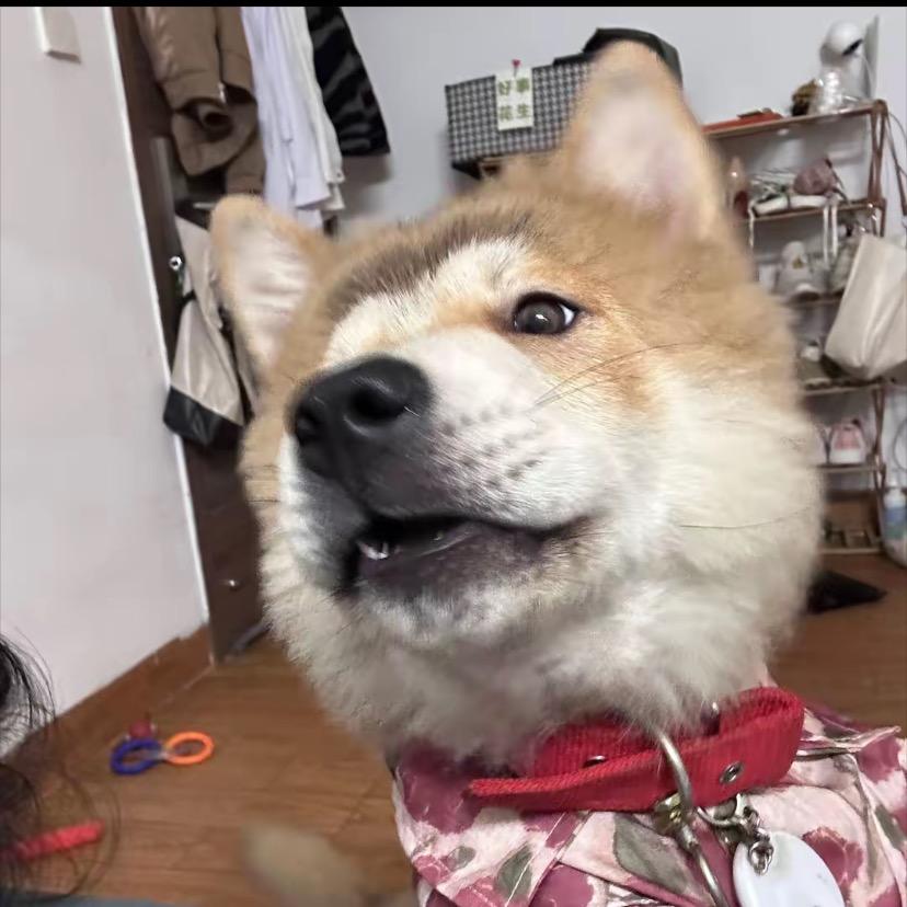 一哧春色