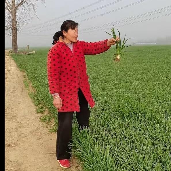 玉东嫂