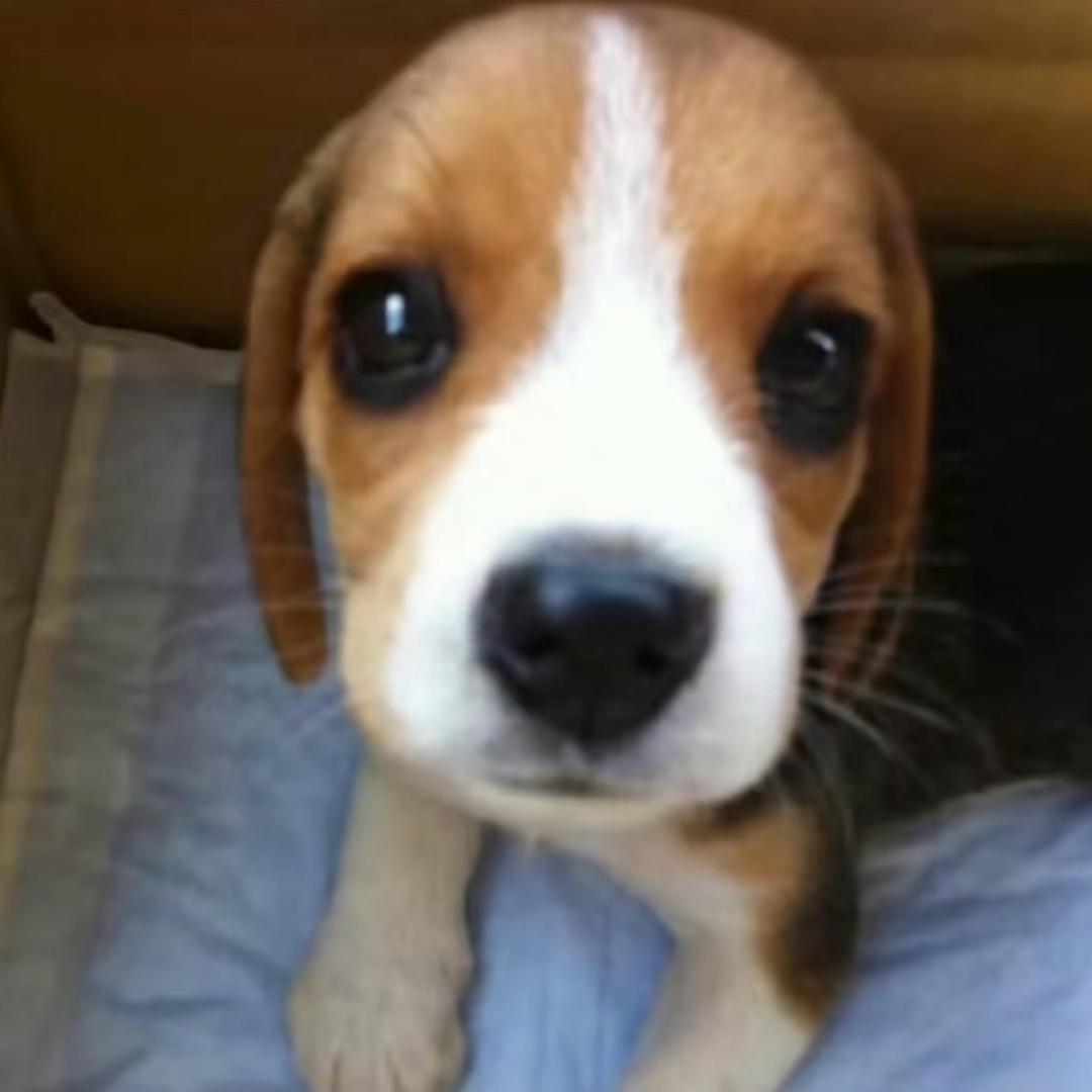 英格兰暴雪时分